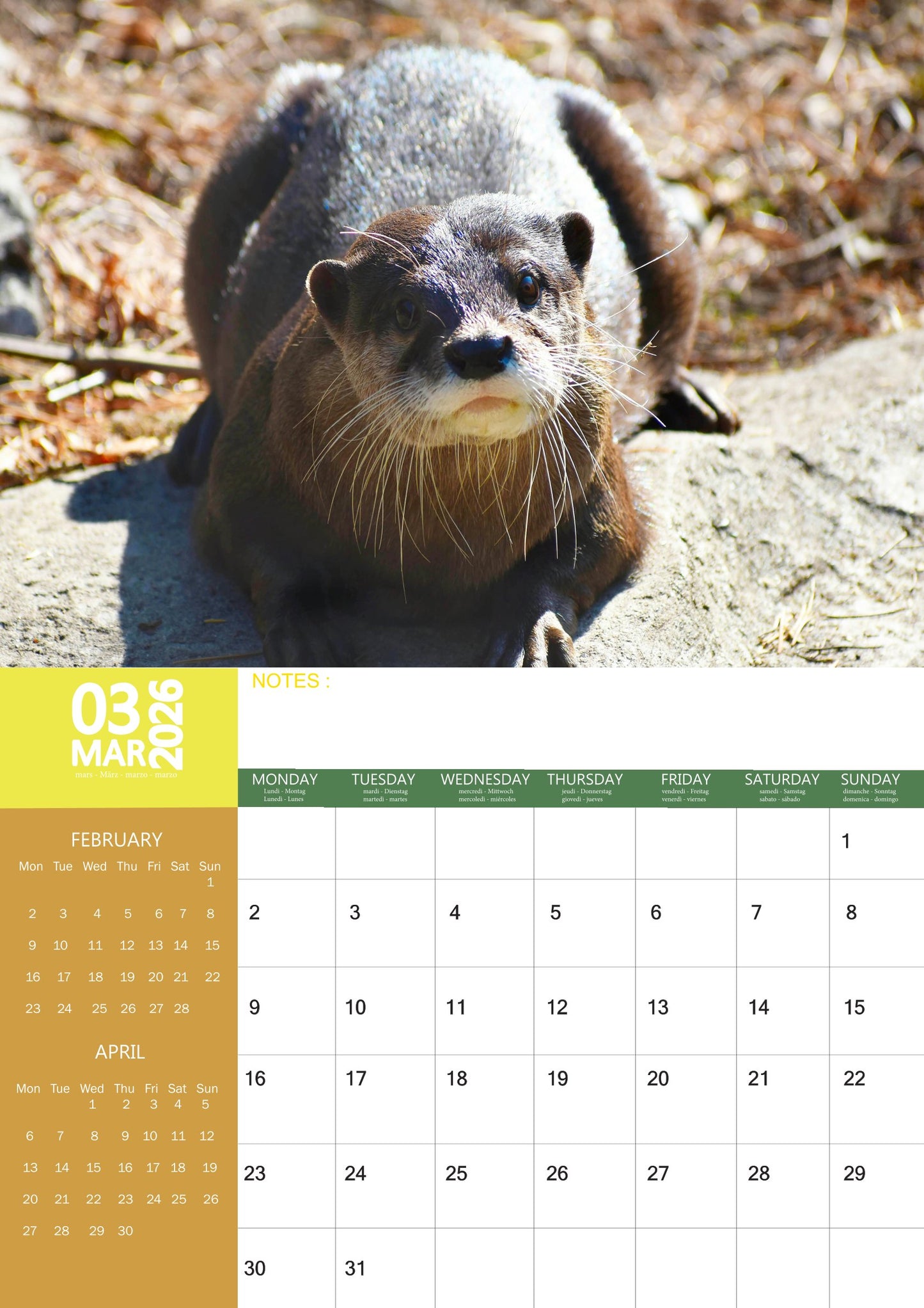 Otters Calendar 2026 – M-PRA Range