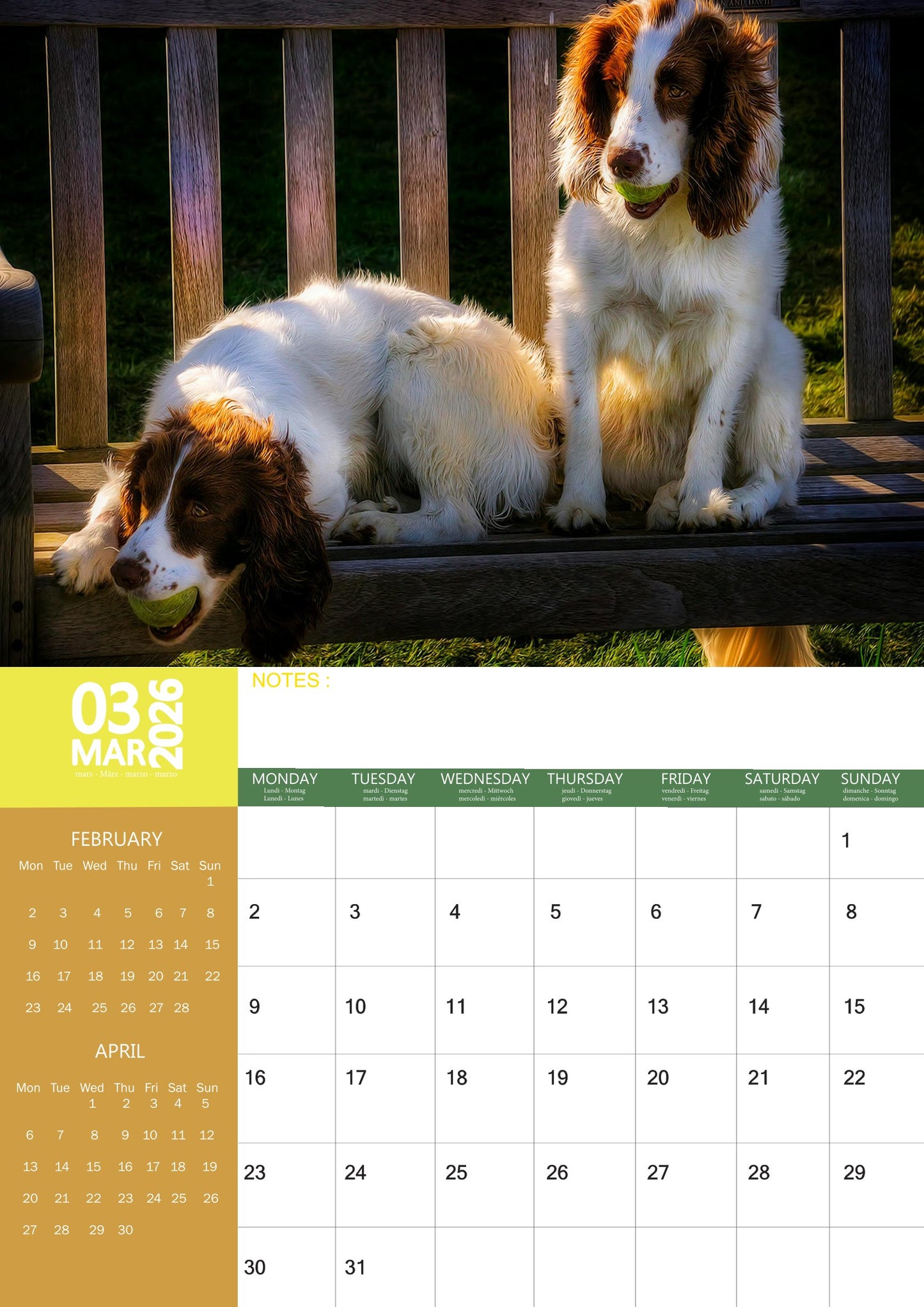 Springer Spaniel Dog Calendar 2026 – M-PRA Range