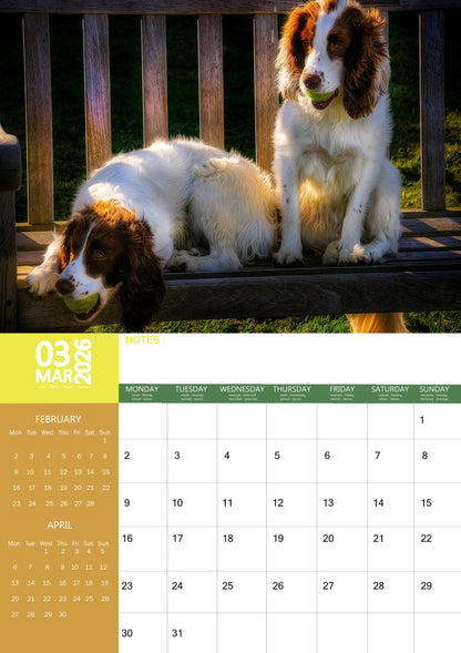 Springer Spaniel Dog Calendar 2026 – M-PRA Range