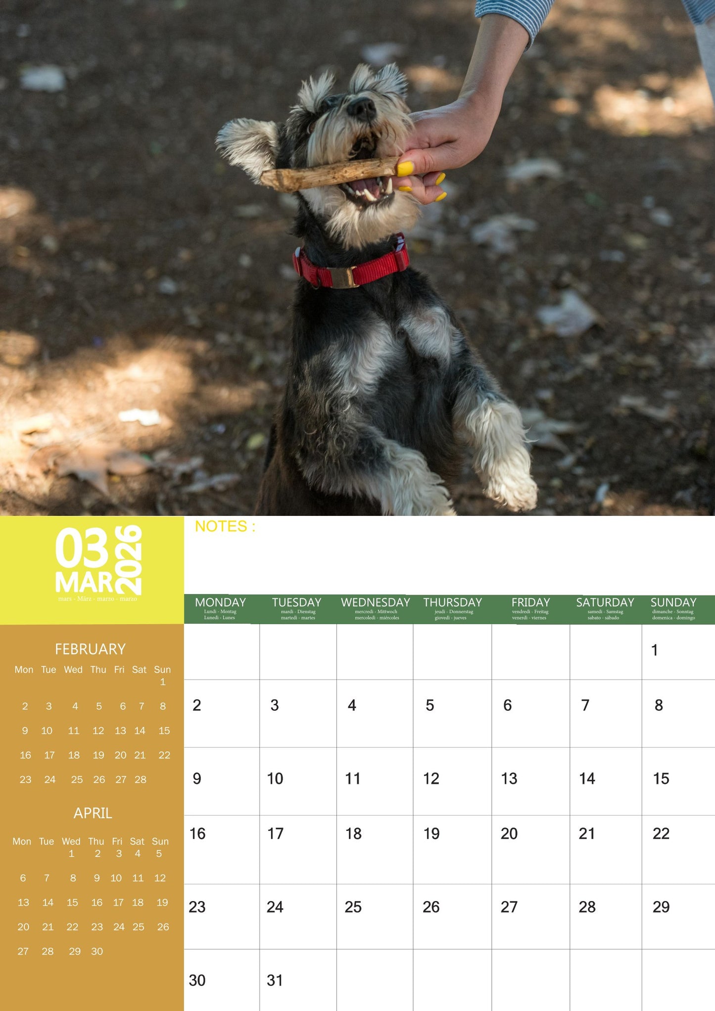 Schnauzer Dog Calendar 2026 – M-PRA Range