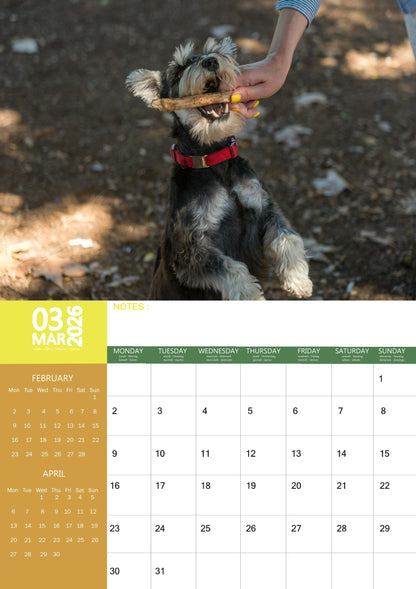 Schnauzer Dog Calendar 2026 – M-PRA Range