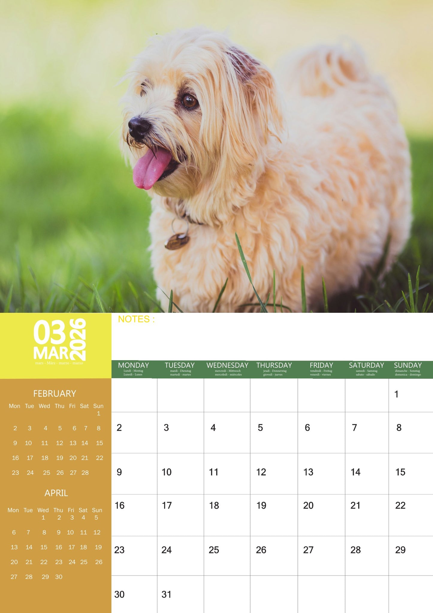 Maltese Dog Calendar 2026 – M-PRA Range