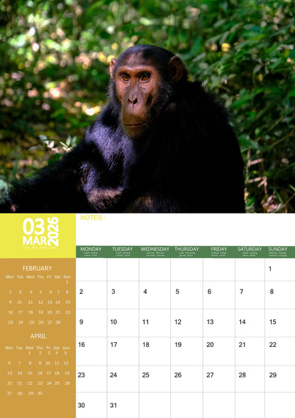 Apes Calendar 2026 – M-PRA Range