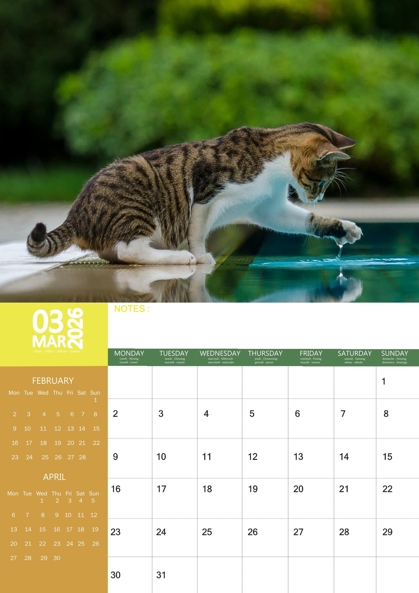 Tabby Cat Calendar 2026 – M-PRA Range