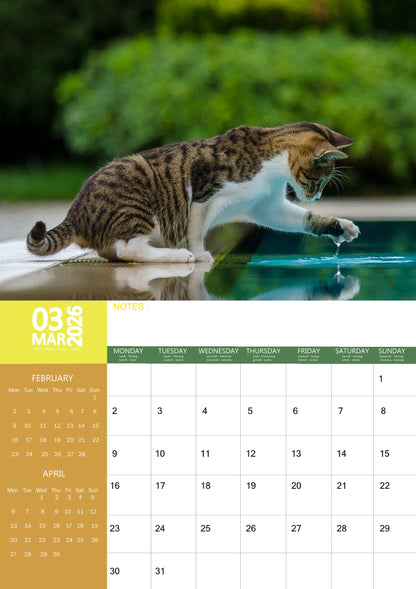 Tabby Cat Calendar 2026 – M-PRA Range