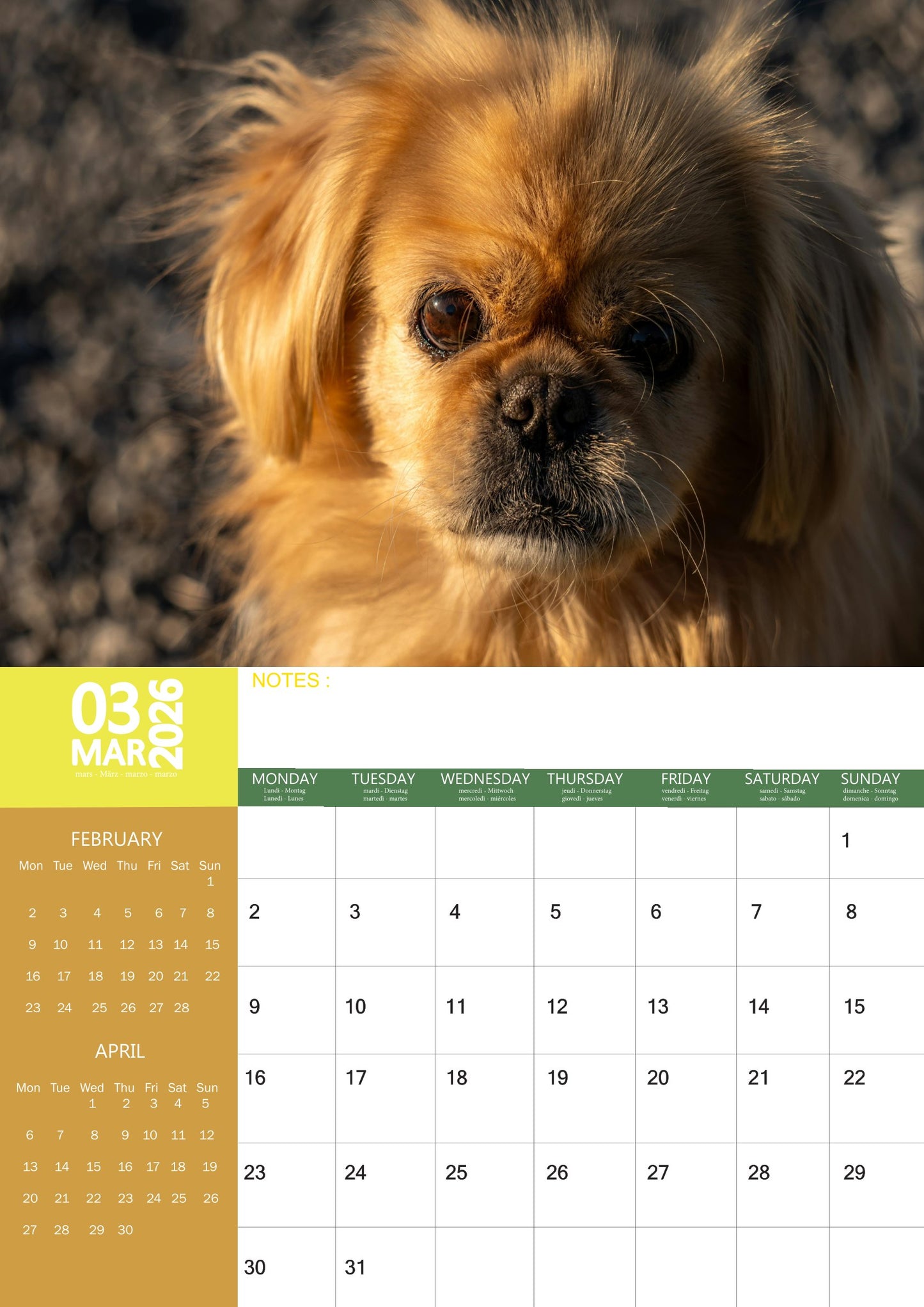 Pekingese Dog Calendar 2026 – M-PRA Range