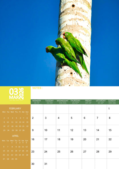 Parrots Calendar 2026 – M-PRA Range