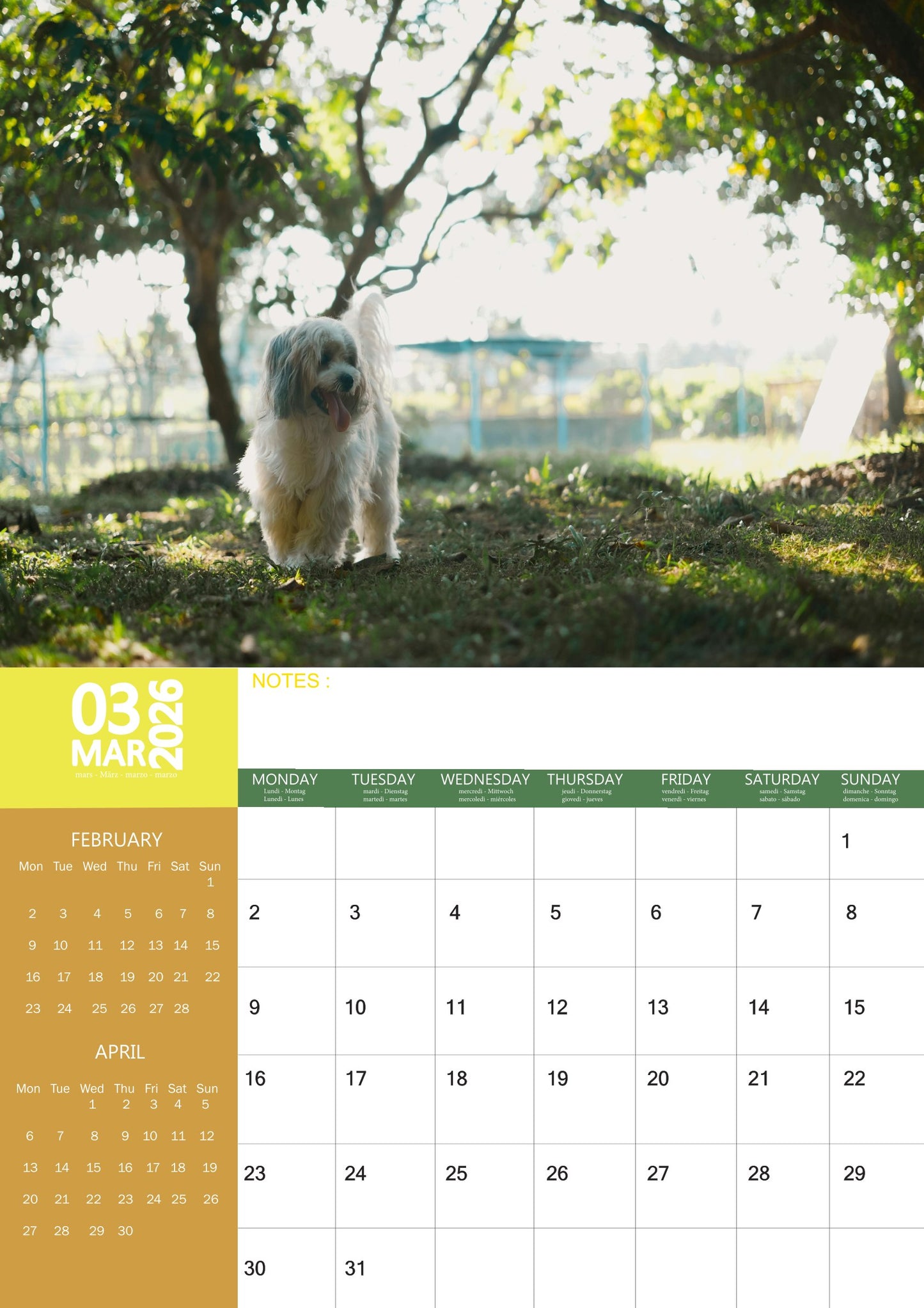 Tibetan Terrier Dog Calendar 2026 – M-PRA Range