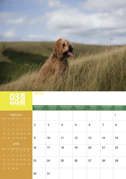 Cockapoo Dog Calendar 2026 – M-PRA Range
