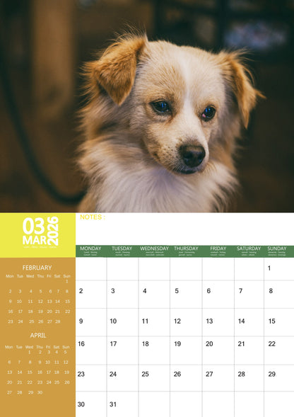 Papillon Dog Calendar 2026 – M-PRA Range