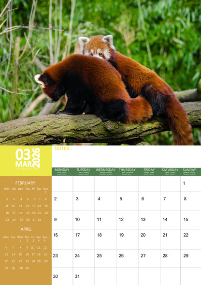 Red Panda Calendar 2026 – M-PRA Range