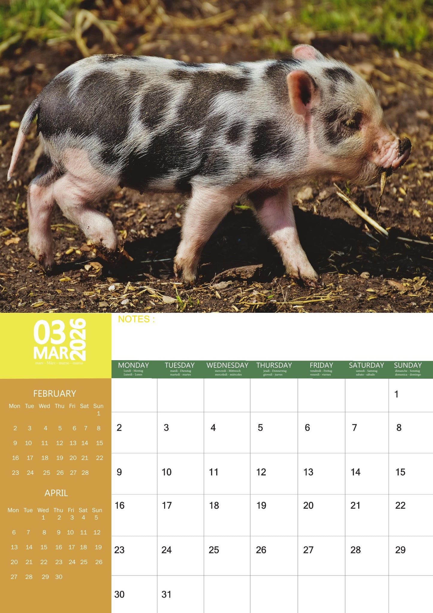 Piglets Calendar 2026 – M-PRA Range