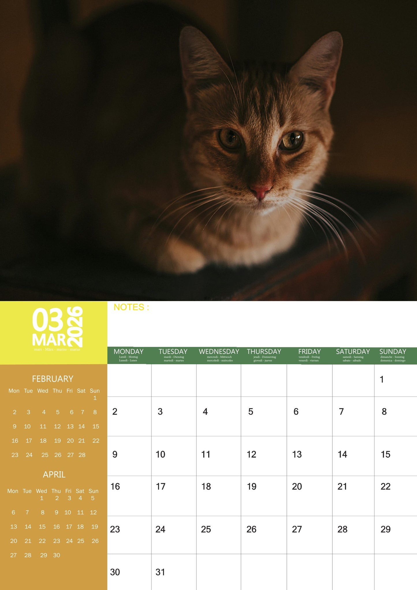 Ginger Cats Calendar 2026 – M-PRA Range