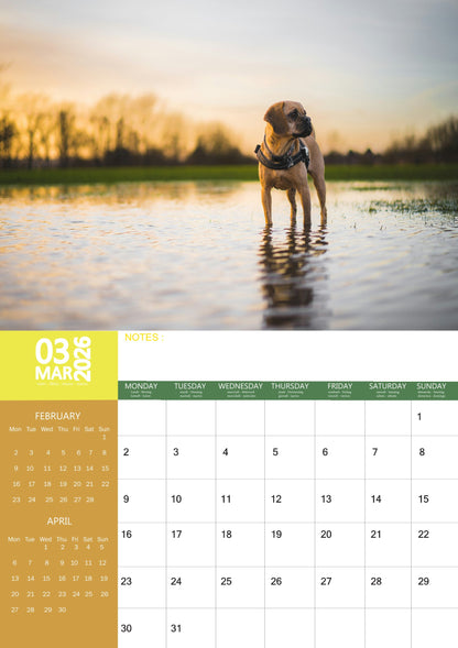 Puggle Dog Calendar 2026 – M-PRA Range