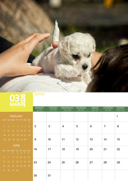 Bichon Frise Dog Calendar 2026 – M-PRA Range