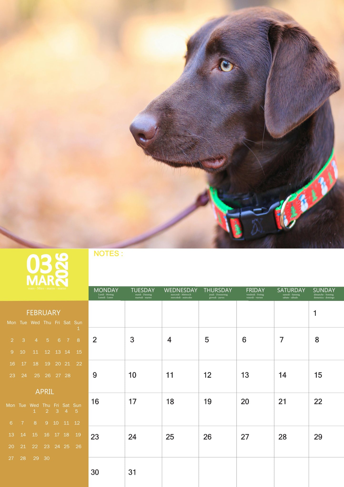 Labrador Retriever Chocolate Dog Calendar 2026 – M-PRA Range