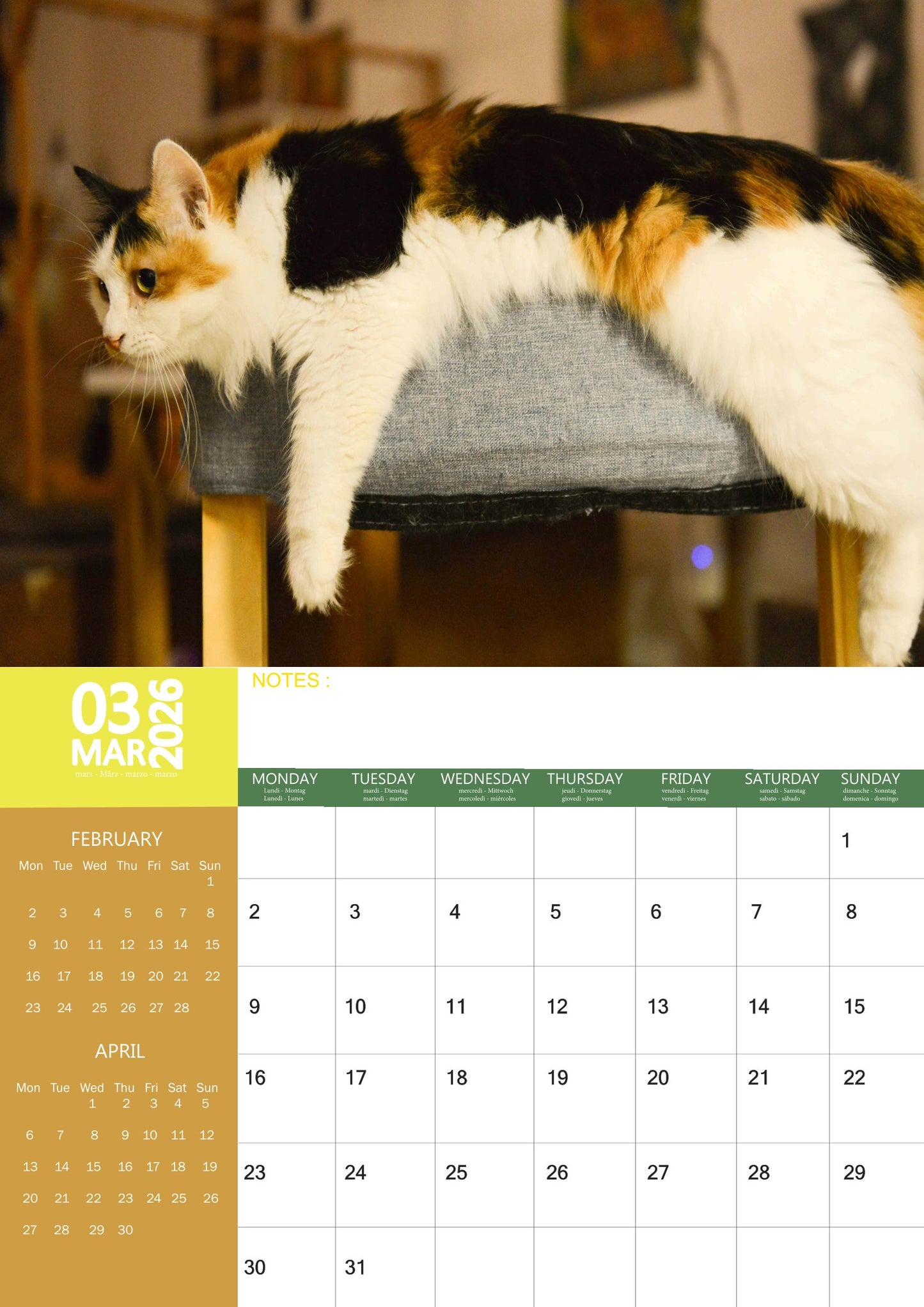 Calico Cats Calendar 2026 – M-PRA Range