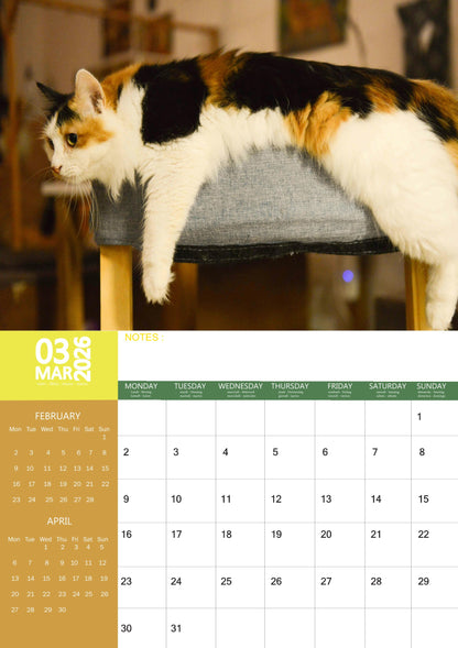 Calico Cats Calendar 2026 – M-PRA Range