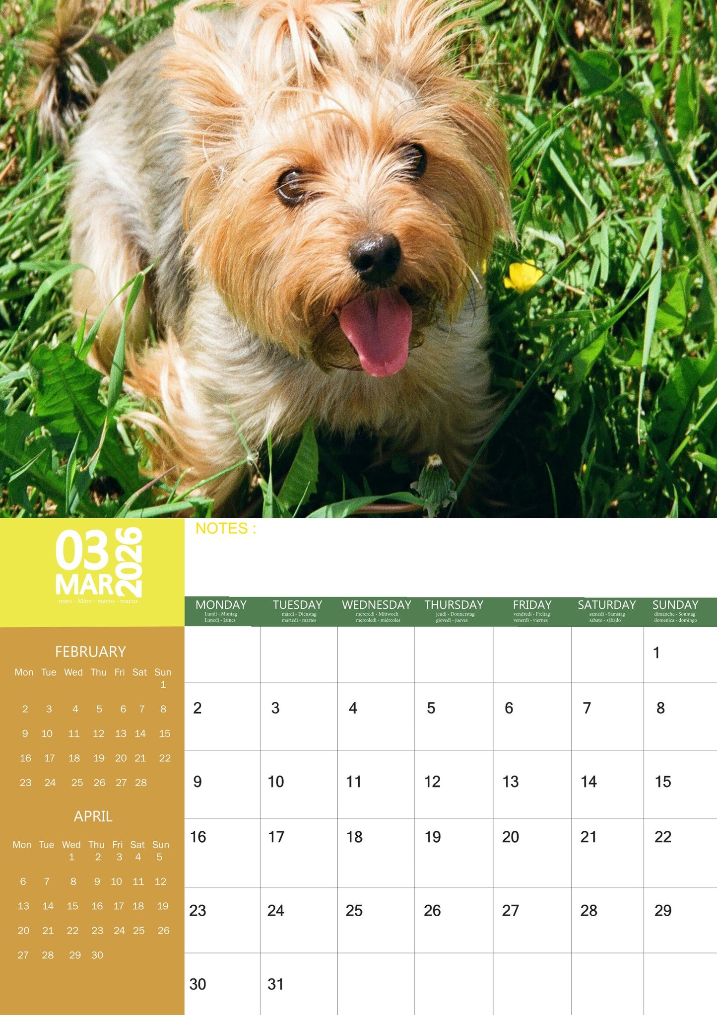 Yorkshire Terrier Dog Calendar 2026 – M-PRA Range