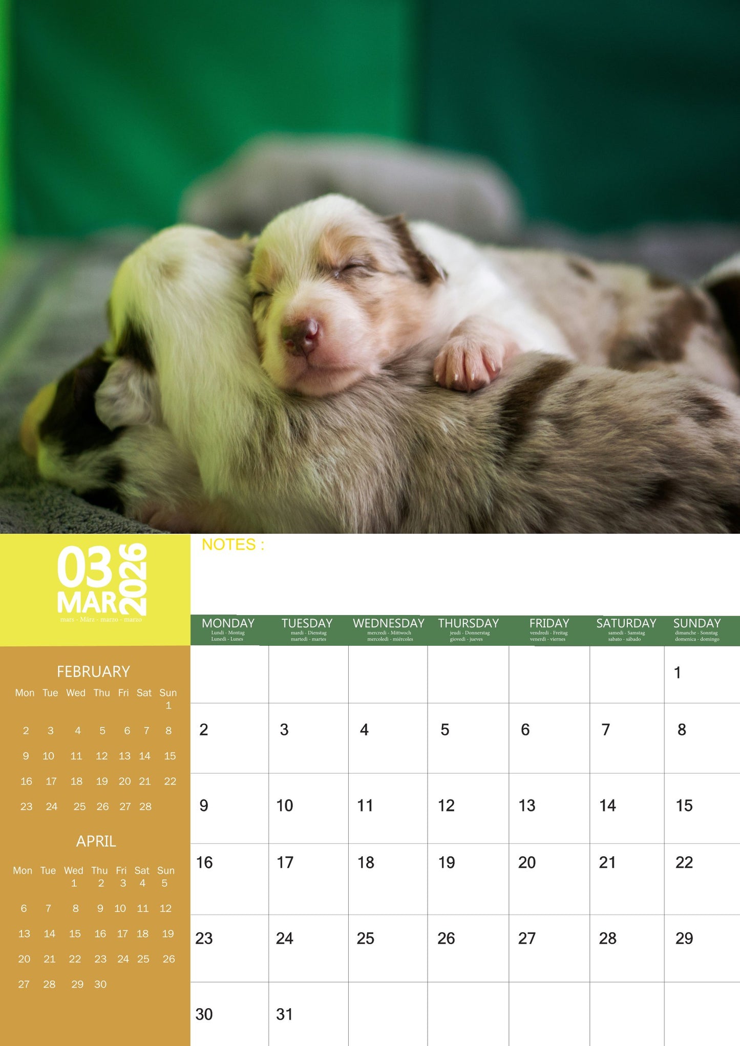 Puppies Dog Calendar 2026 – M-PRA Range