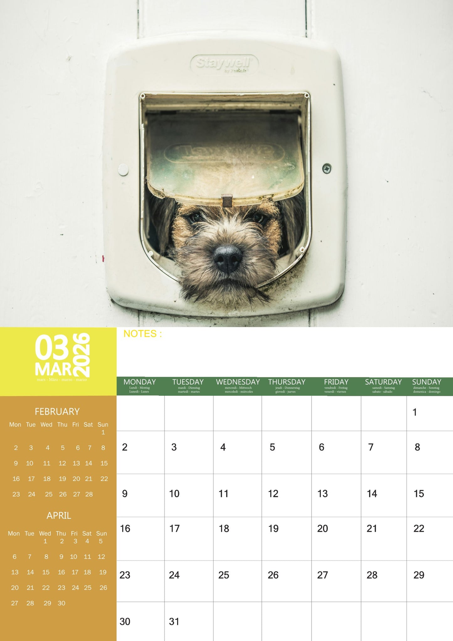 Border Terrier Dog Calendar 2026 – M-PRA Range