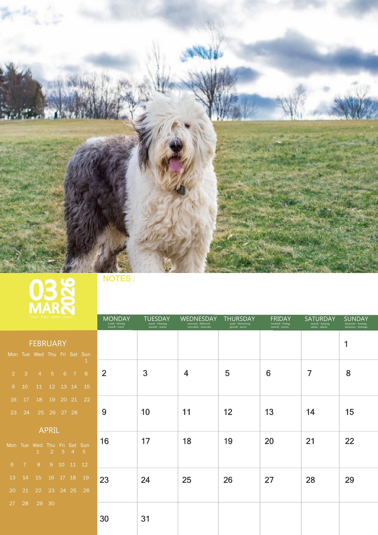 Old English Sheepdog Calendar 2026 – M-PRA Range