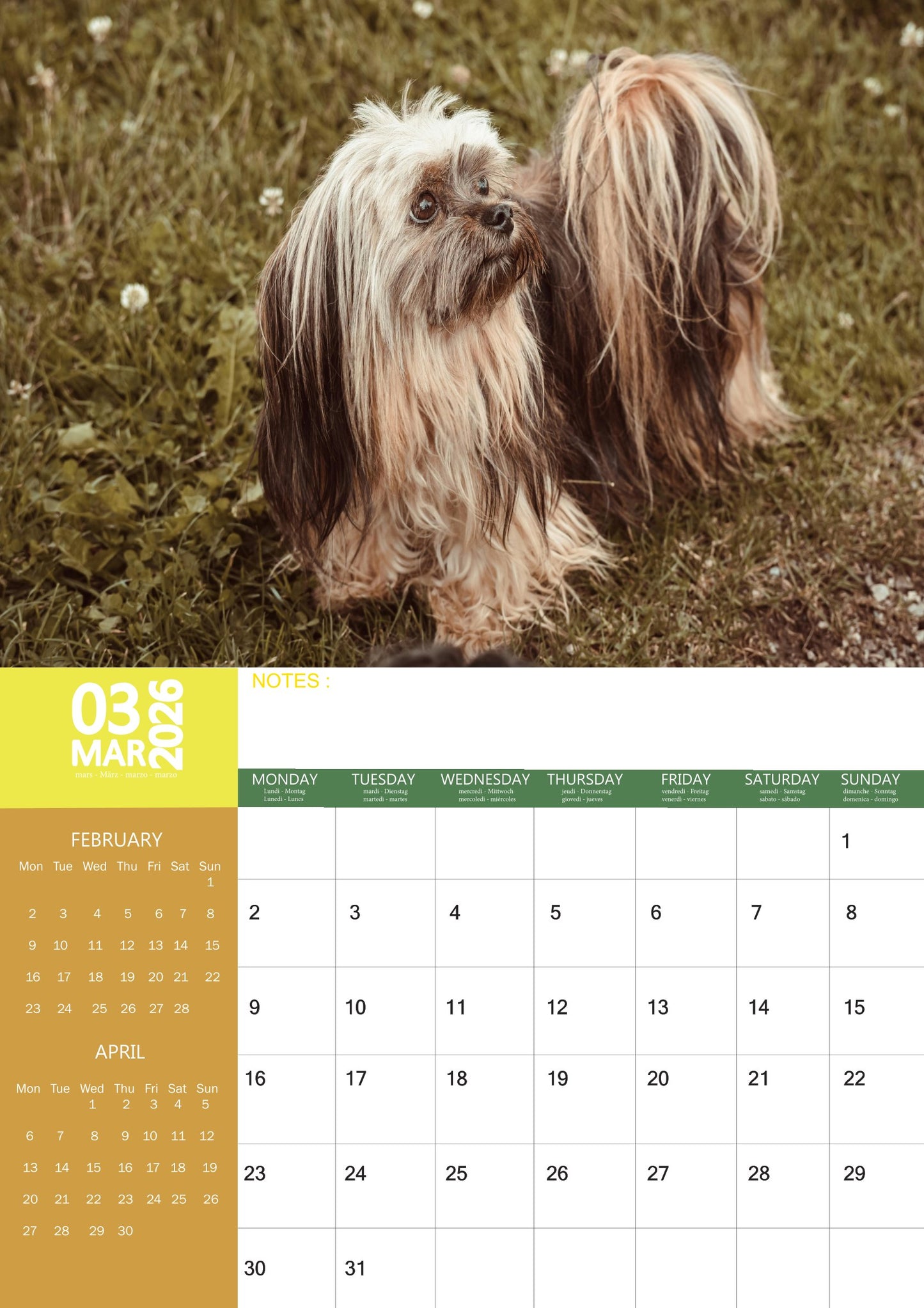 Lhasa Apso Dog Calendar 2026 – M-PRA Range