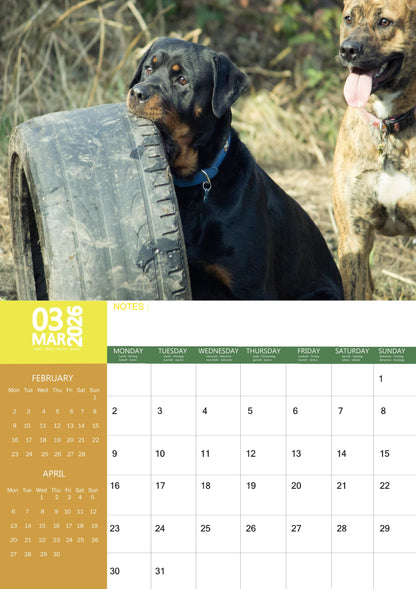 Rottweiler Dog Calendar 2026 – M-PRA Range