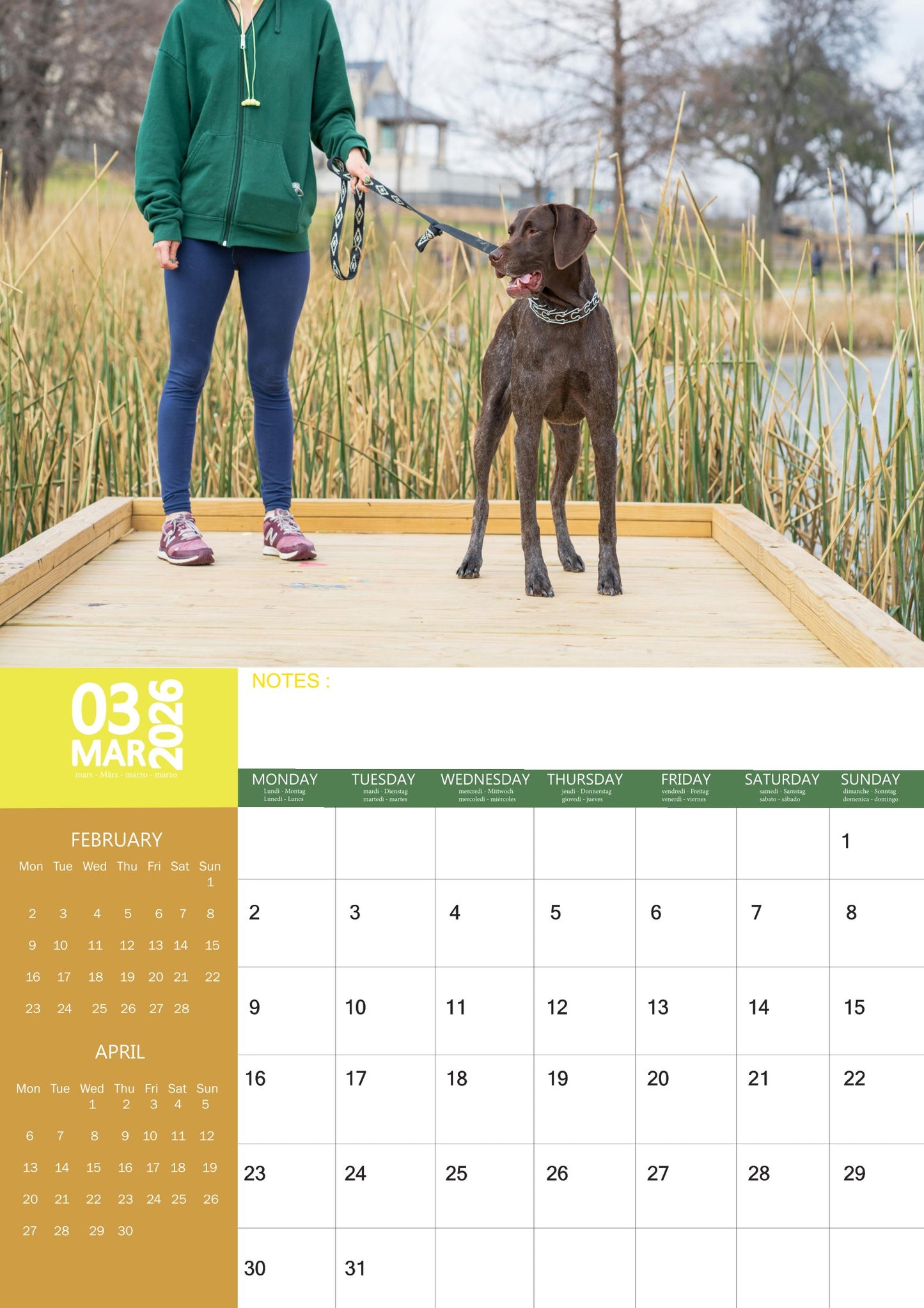 German Shorthaired Dog Calendar 2026 – M-PRA Range