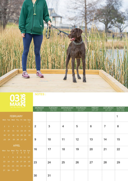 German Shorthaired Dog Calendar 2026 – M-PRA Range
