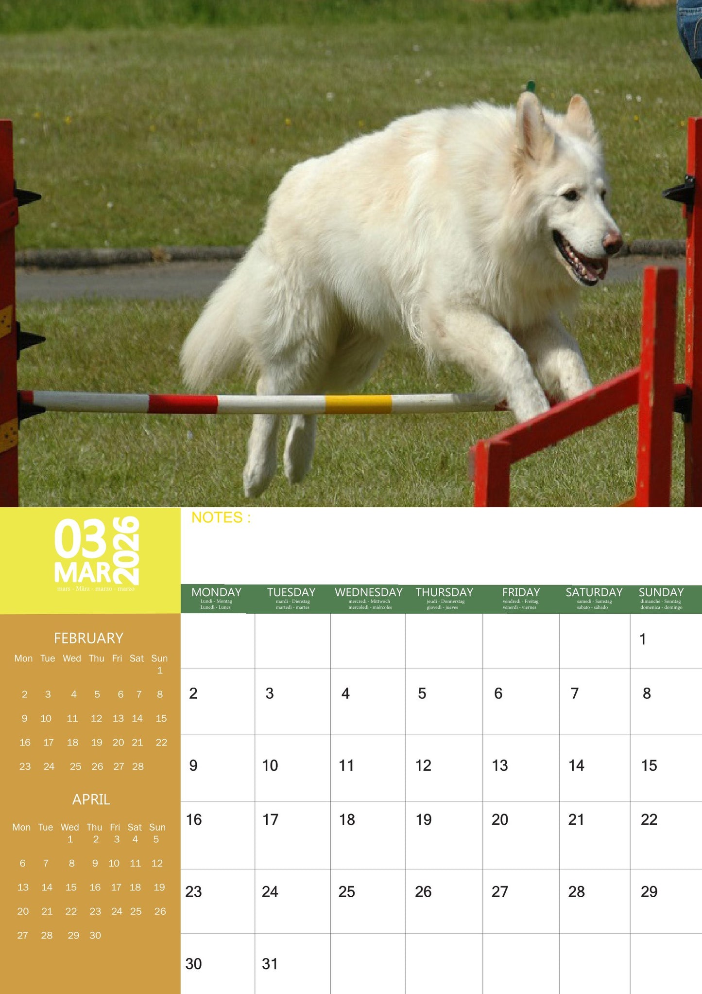 White German Shepard Dog Calendar 2026 – M-PRA Range