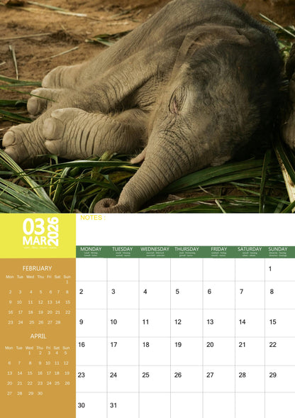 Elephant Calendar 2026 – M-PRA Range