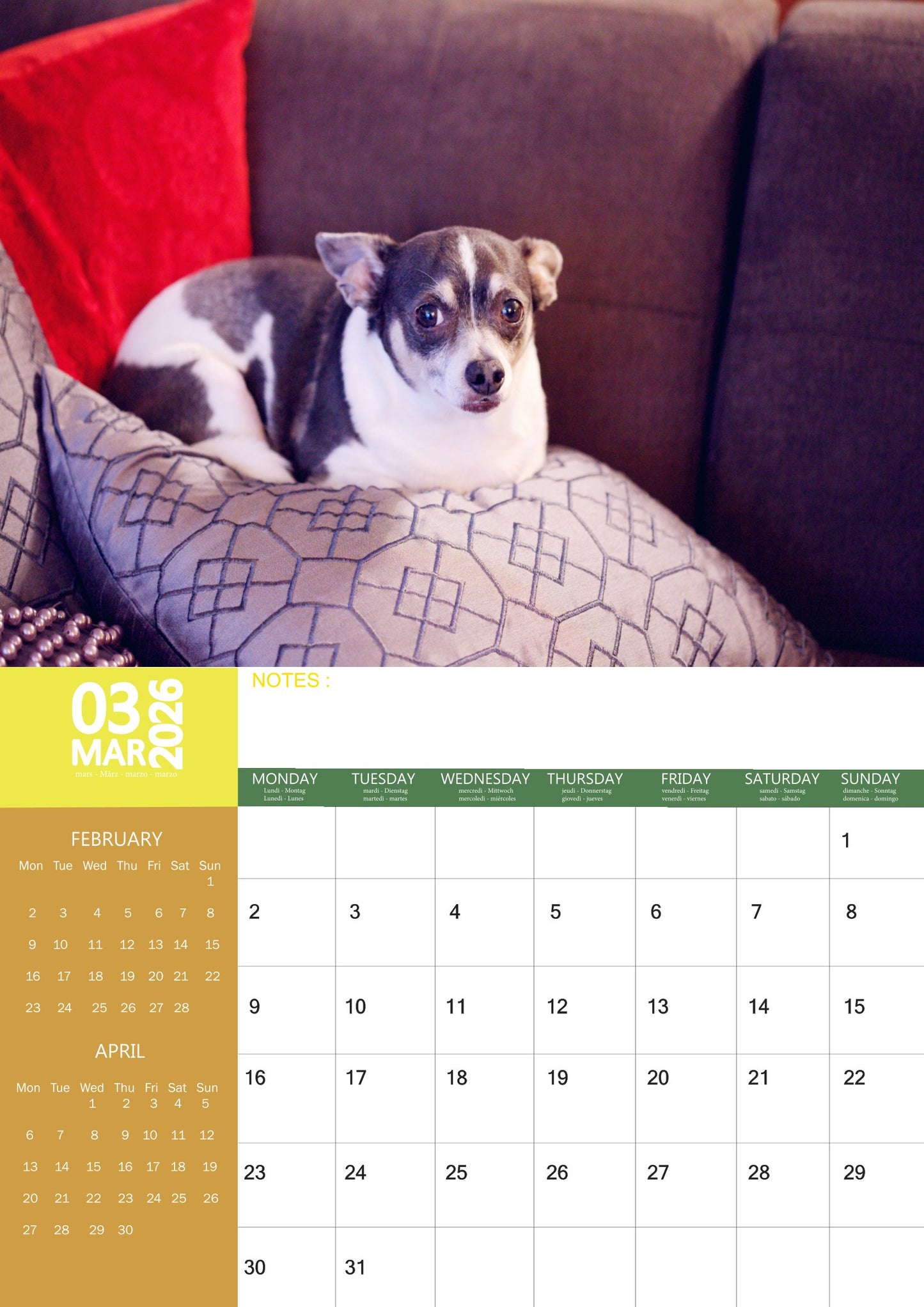 Chihuahua Dog Calendar 2026 – M-PRA Range