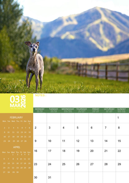 Greyhound Dog Calendar 2026 – M-PRA Range