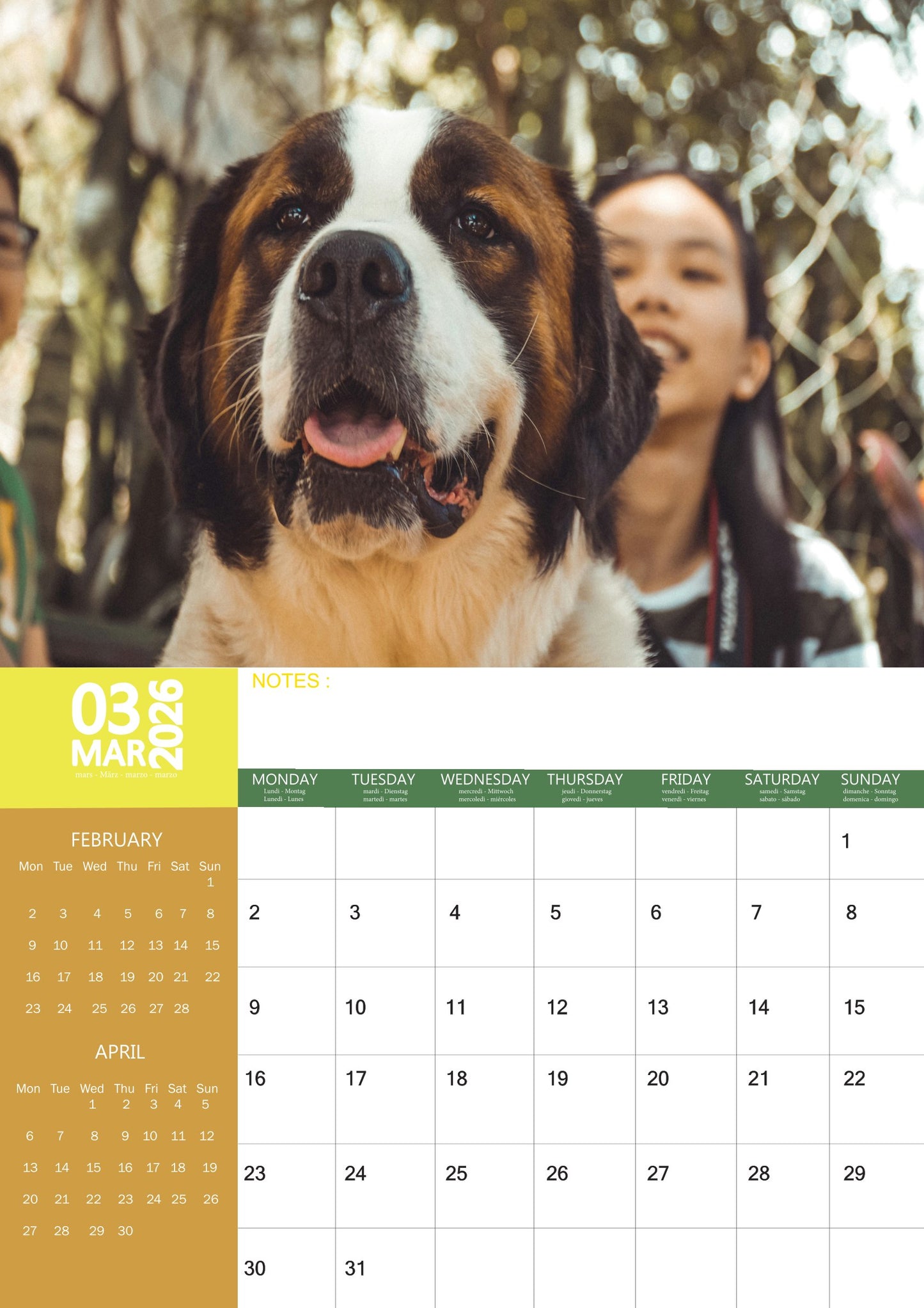 Saint Bernard Dog Calendar 2026 – M-PRA Range