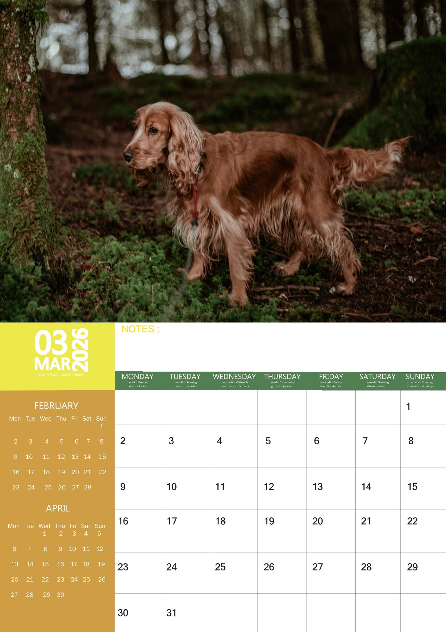 Cocker Spaniel Dog Calendar 2026 – M-PRA Range