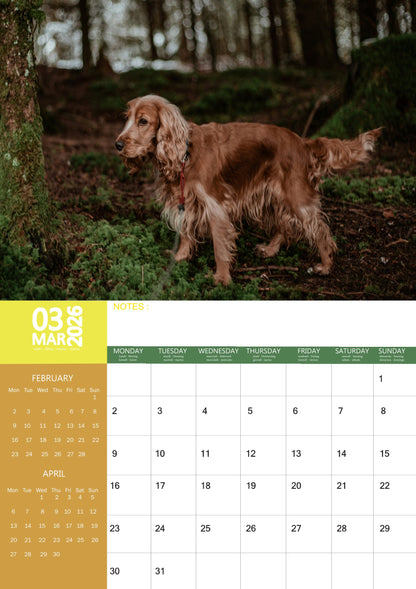 Cocker Spaniel Dog Calendar 2026 – M-PRA Range