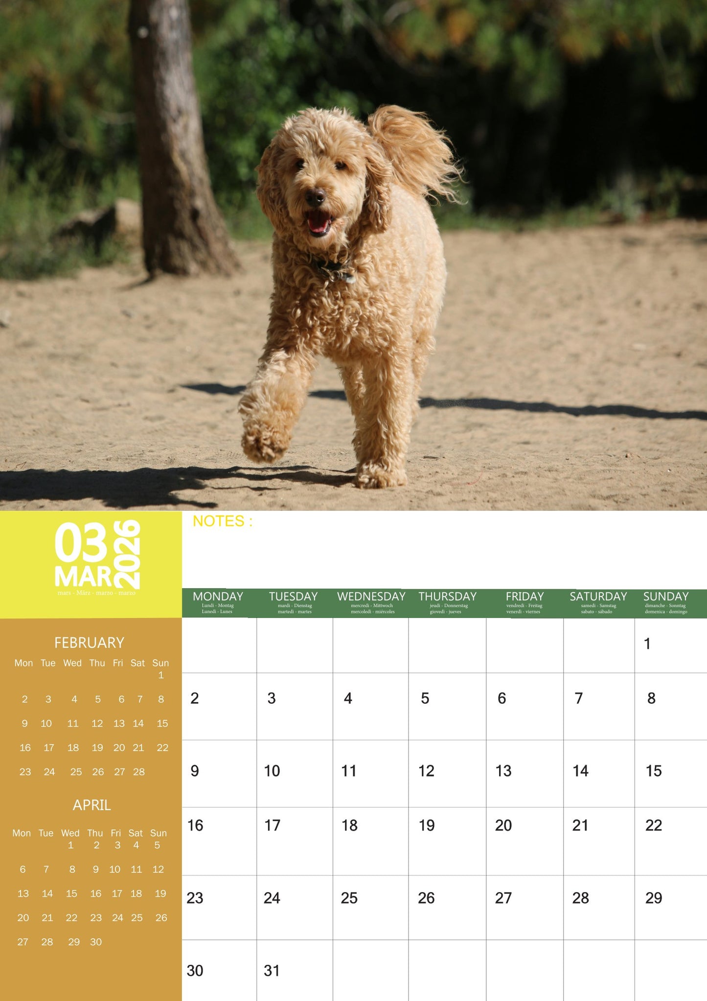 Goldendoodles Dog Calendar 2026 – M-PRA Range