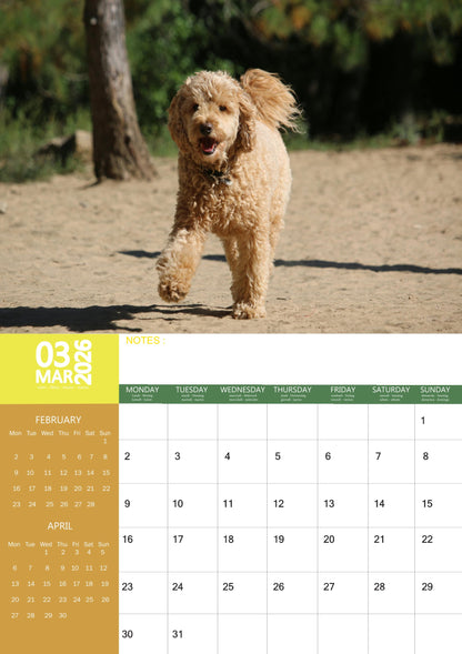 Goldendoodles Dog Calendar 2026 – M-PRA Range