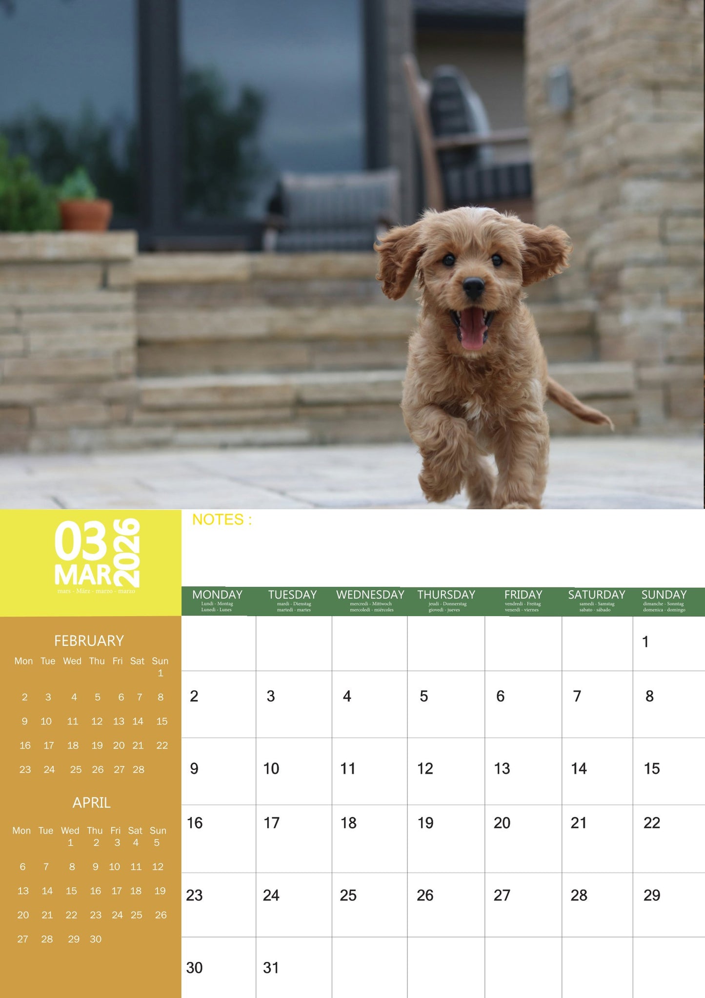 Cavapoo Dog Calendar 2026 – M-PRA Range