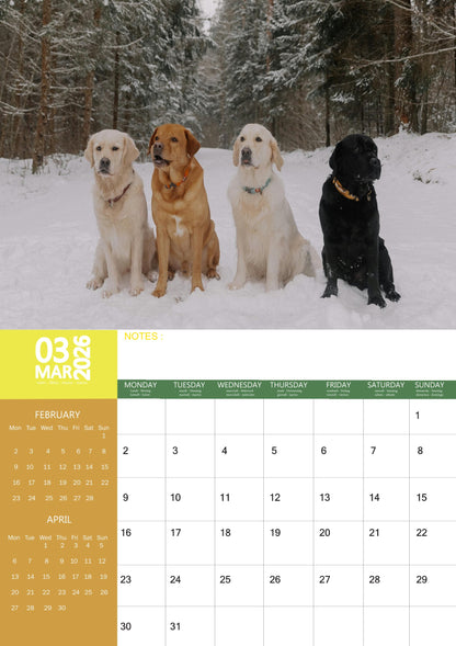 Labrador Retriever Dog Calendar 2026 – M-PRA Range