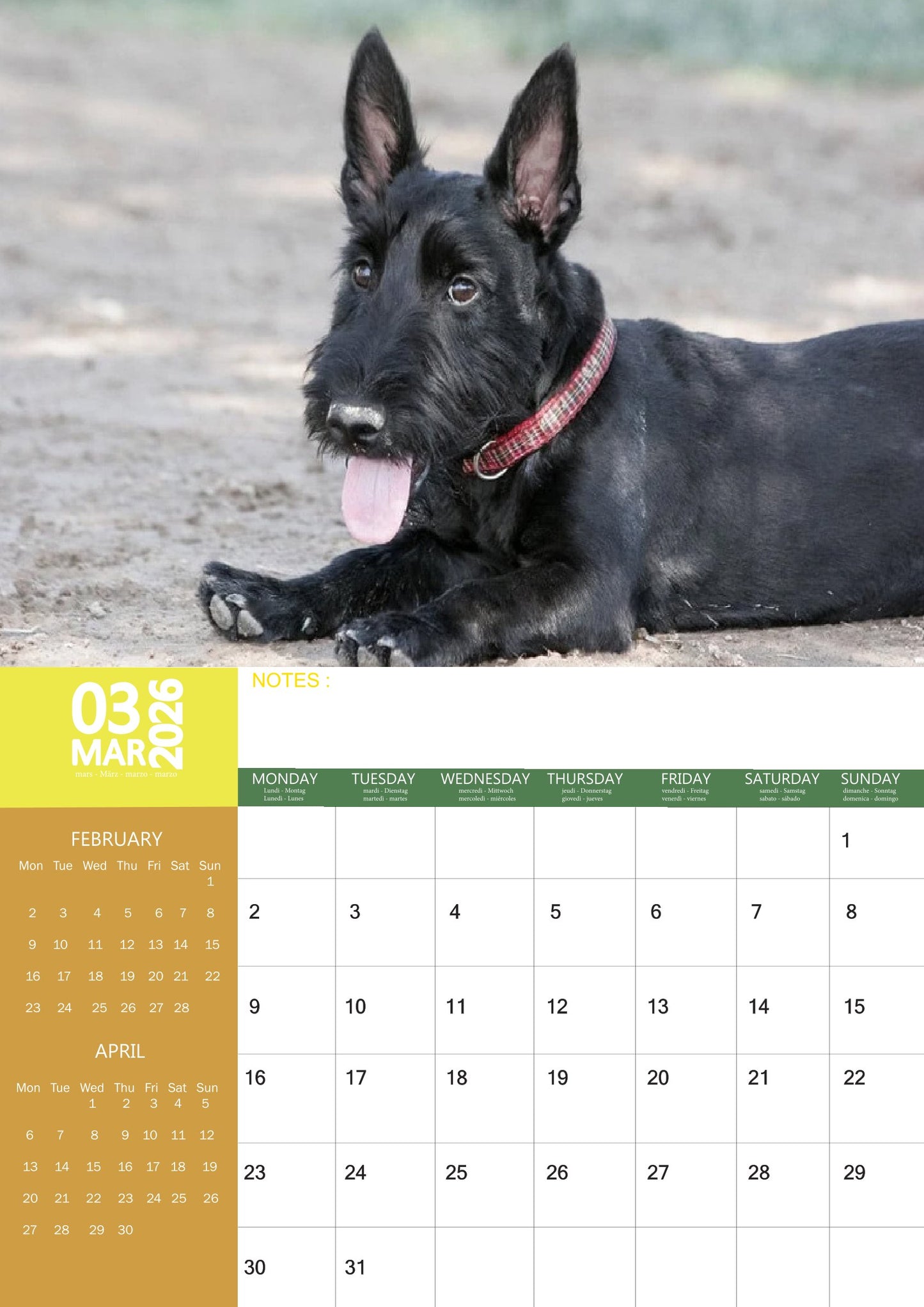 Scottish Terrier Dog Calendar 2026 – M-PRA Range