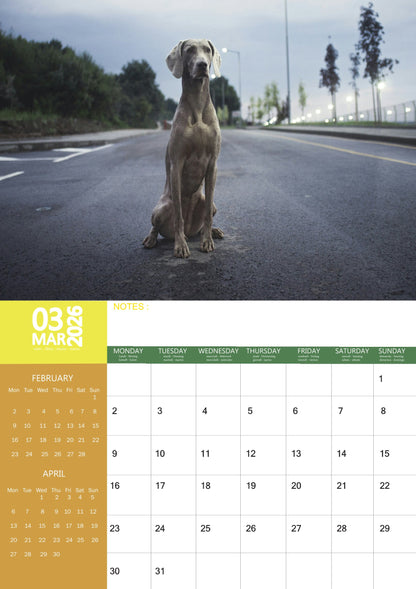 Weimaraner Dog Calendar 2026 – M-PRA Range