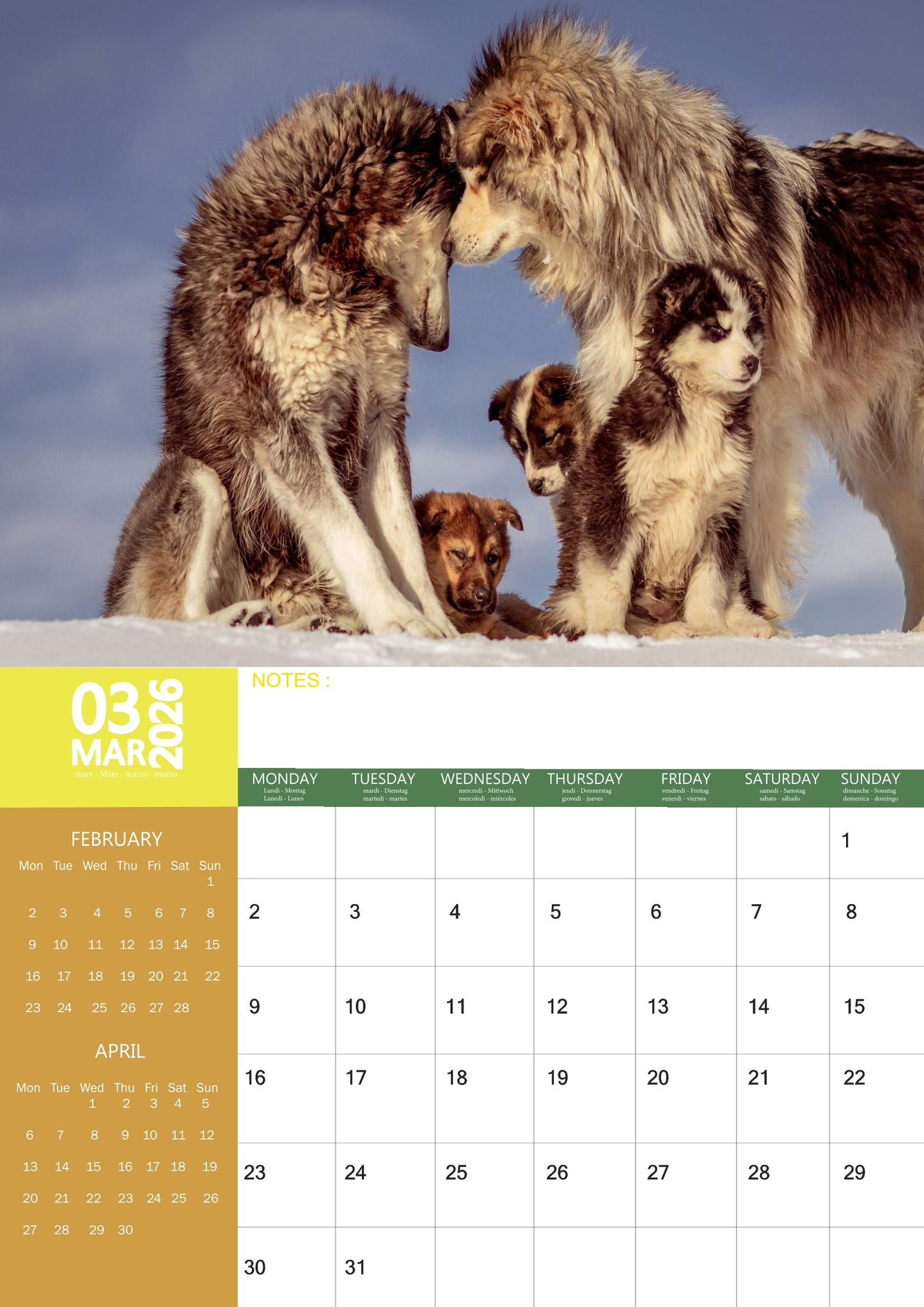 Arctic Animals Calendar 2026 – M-PRA Range