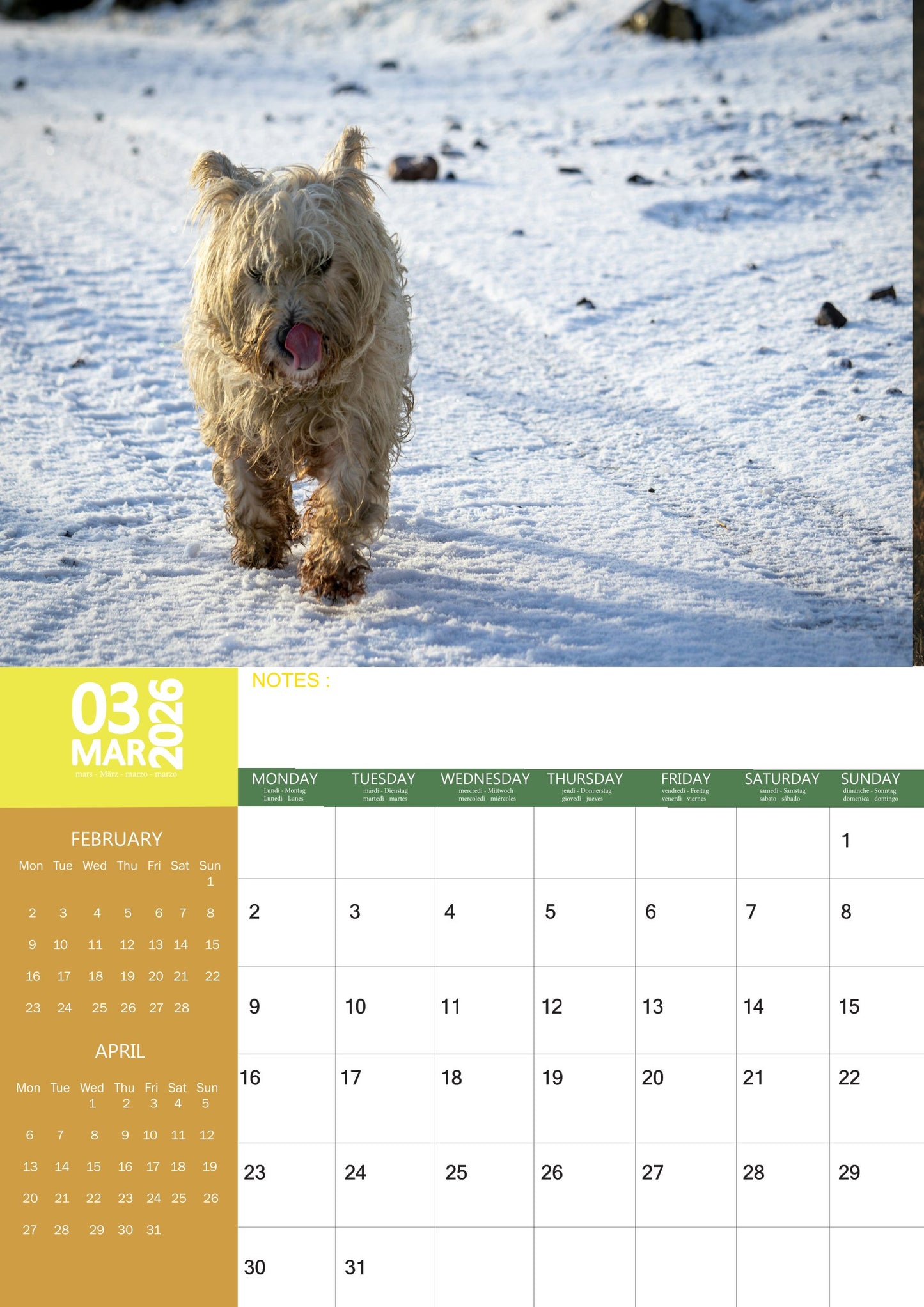 Cairn Terrier Dog Calendar 2026 – M-PRA Range