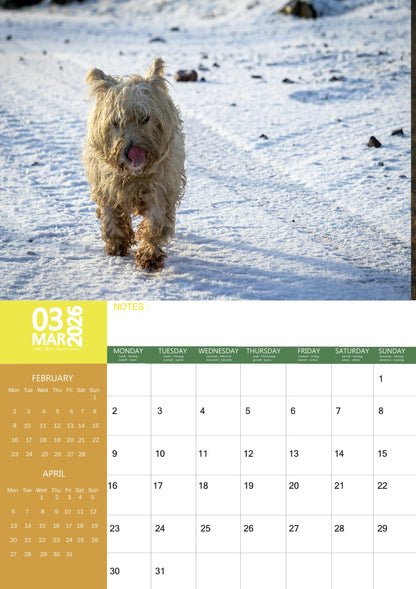Cairn Terrier Dog Calendar 2026 – M-PRA Range