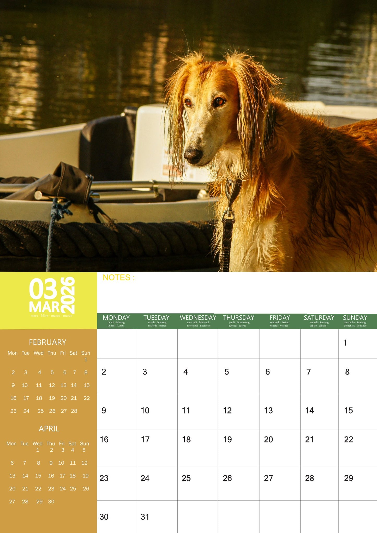 Afghan Hound Dog Calendar 2026 – M-PRA Range