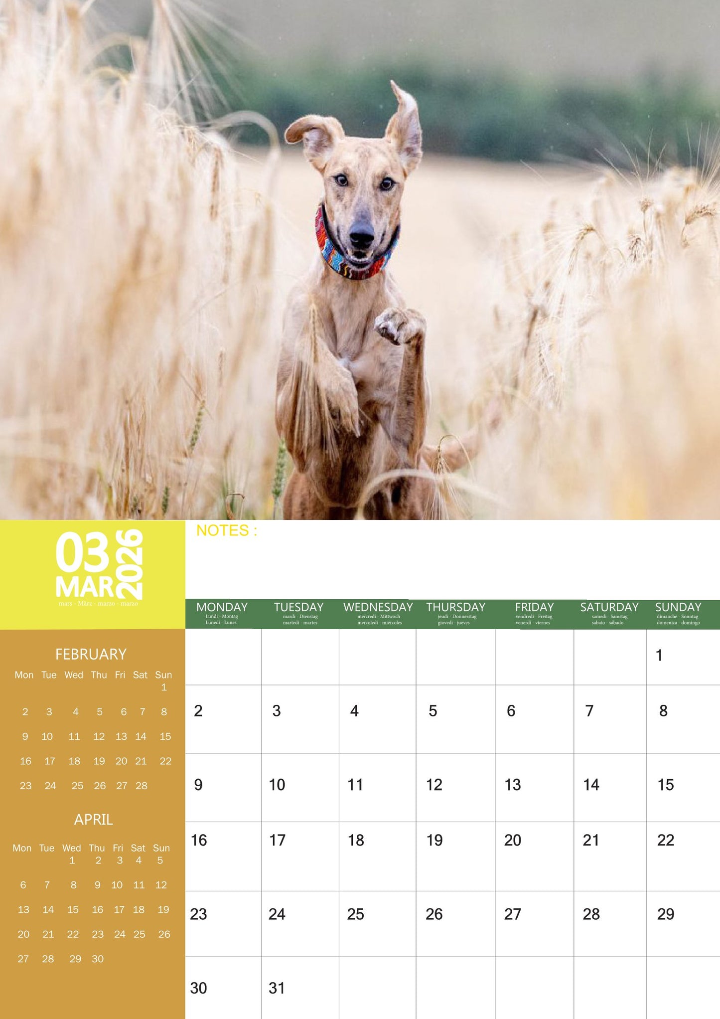 Lurcher Dog Calendar 2026 – M-PRA Range