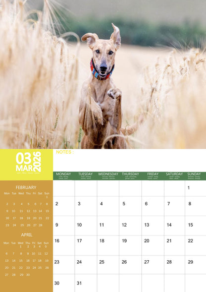 Lurcher Dog Calendar 2026 – M-PRA Range