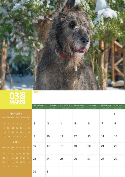 Irish Wolfhound Dog Calendar 2026 – M-PRA Range